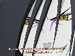 Naruto 069(85).jpg